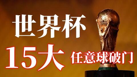 身负冲金使